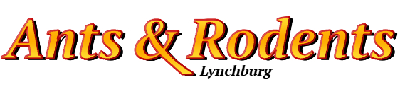 Lynchburg Ant Exterminator & Rodent Control Company Logo